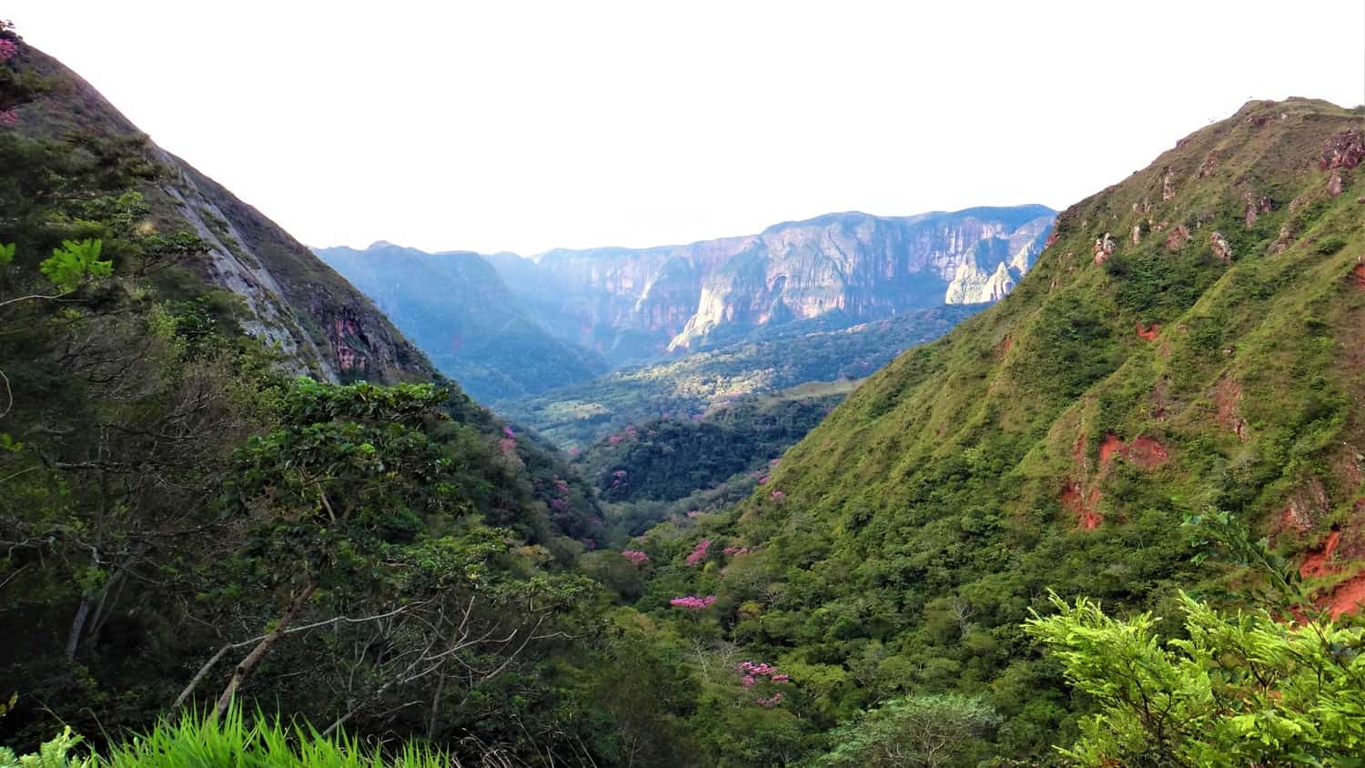 Amboro National Park, Bolivia
