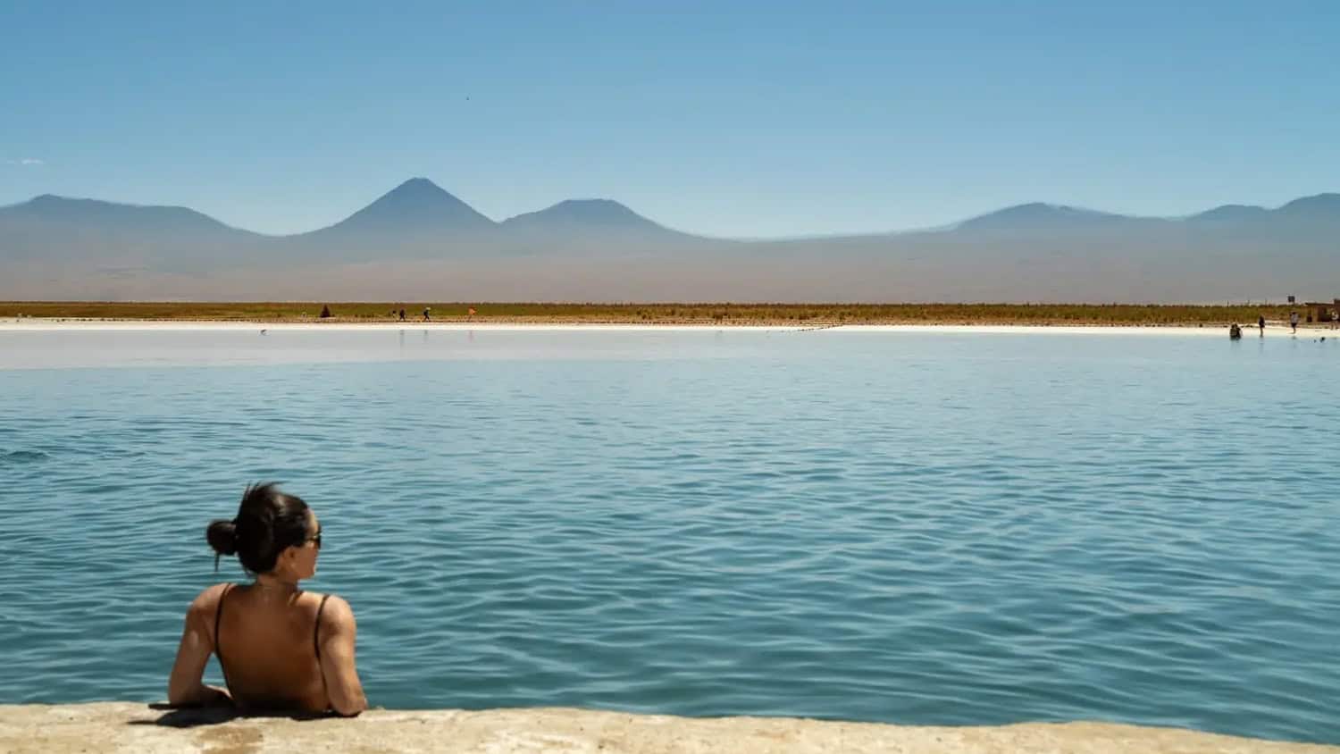 Cejar Lagoon, Atacama, Chile