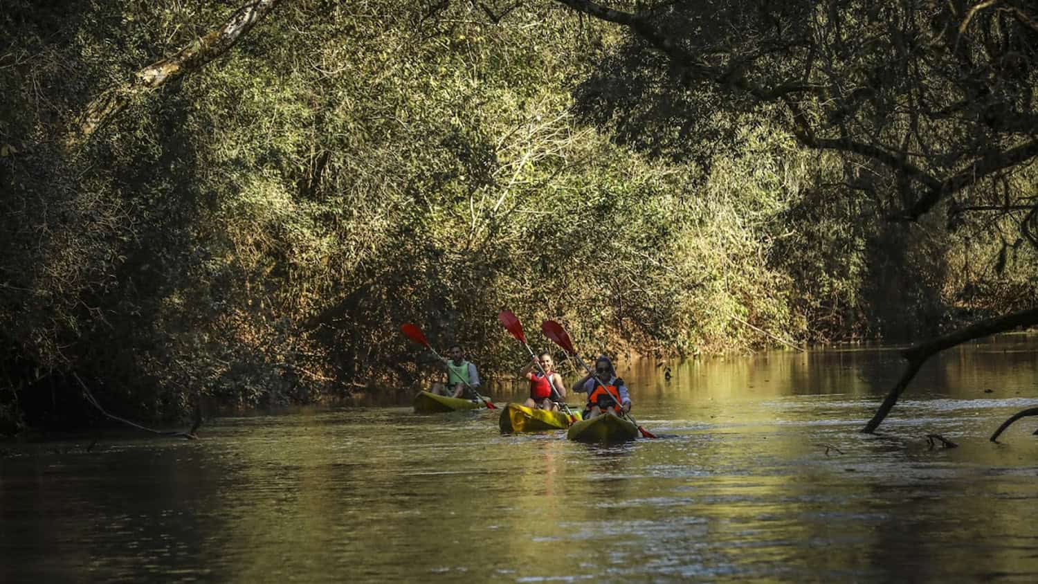 Canoe, Awasi Iguazú, Puerto Iguazú, Argentina