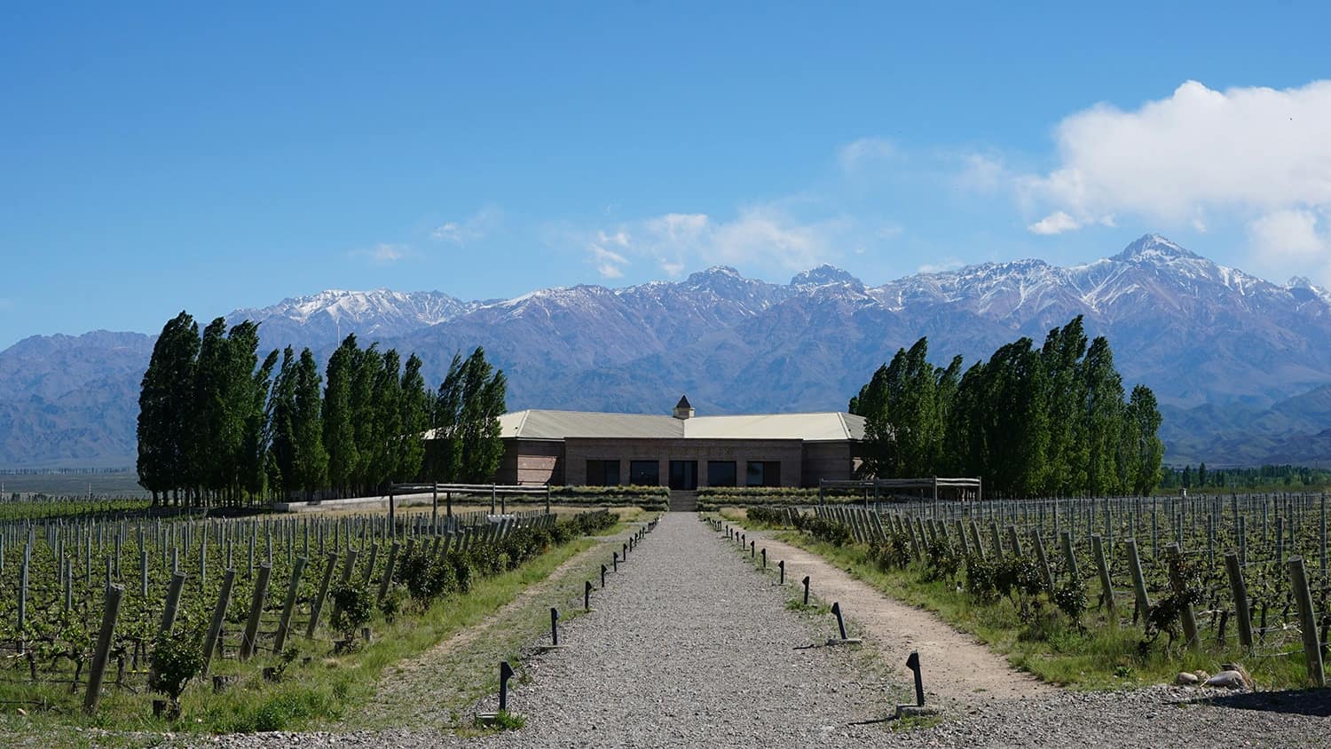 Vineyards in the Andes, Mendoza, Argentina