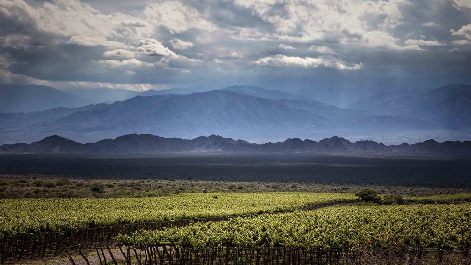 Andes, Estancia Colome, Molinos (Salta), Argentina