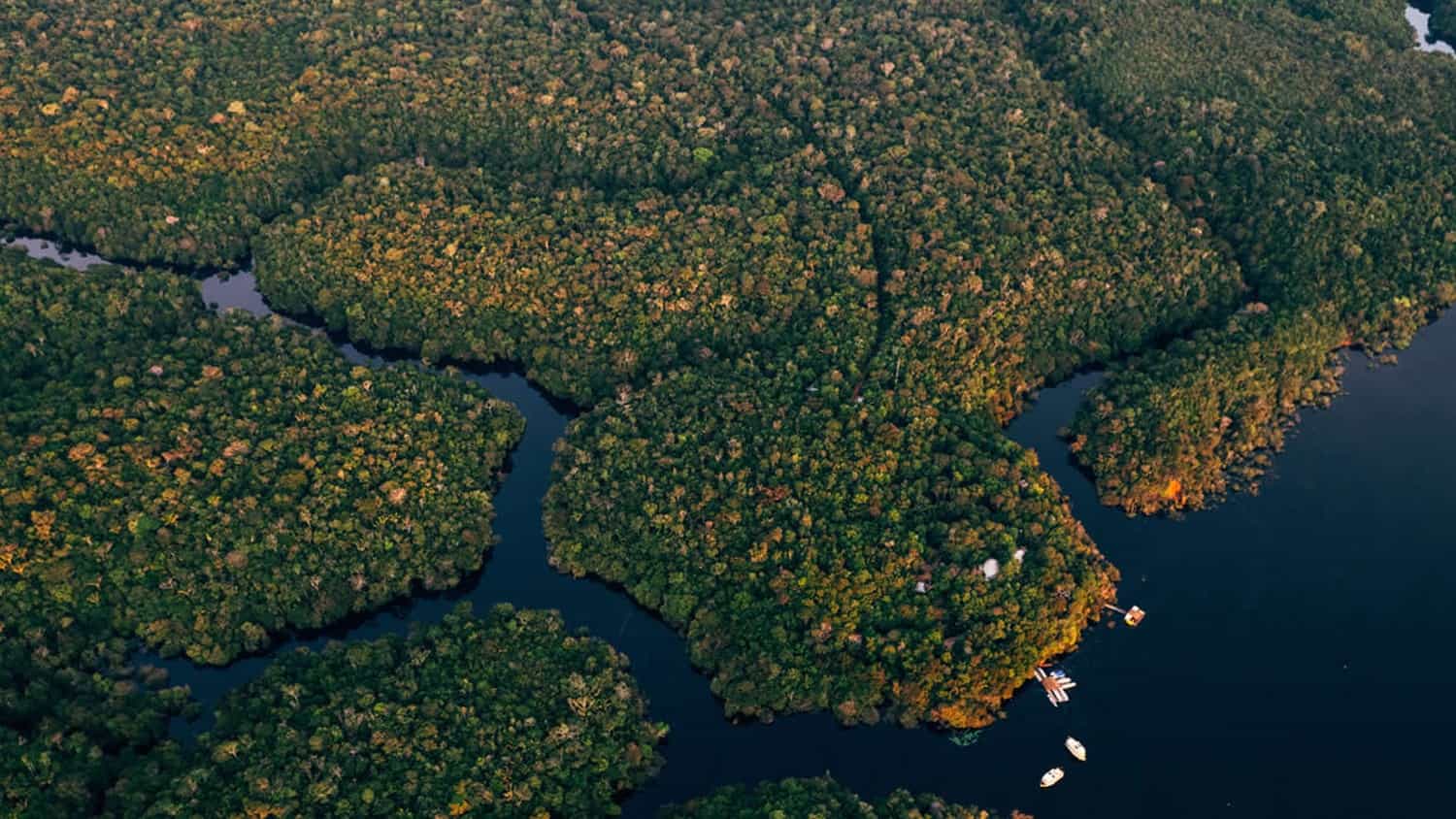 Amazon rainforest, Brazil