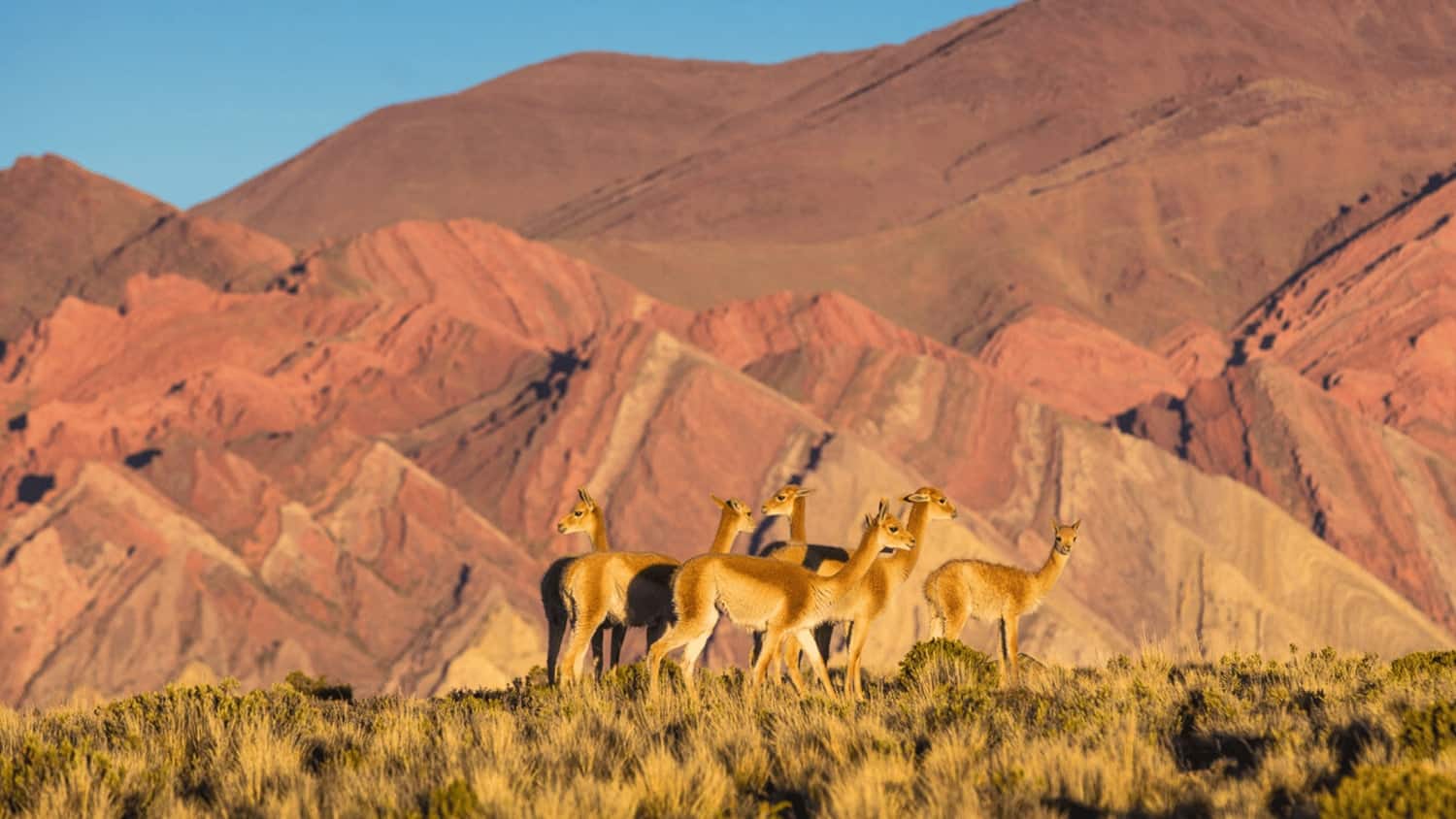Salta, Argentina