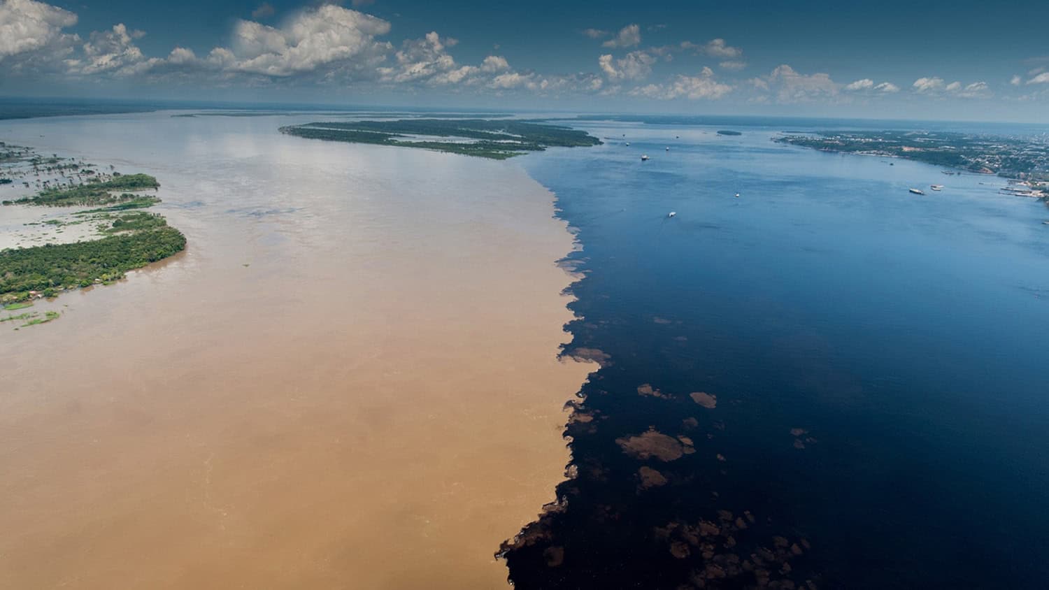 Rivers, Juma Amazon Lodge, Amazon Rainforest, Manaus, Brazil