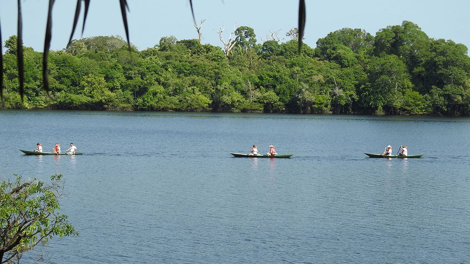Canoe, Juma Amazon Lodge, Amazon Rainforest, Manaus, Brazil