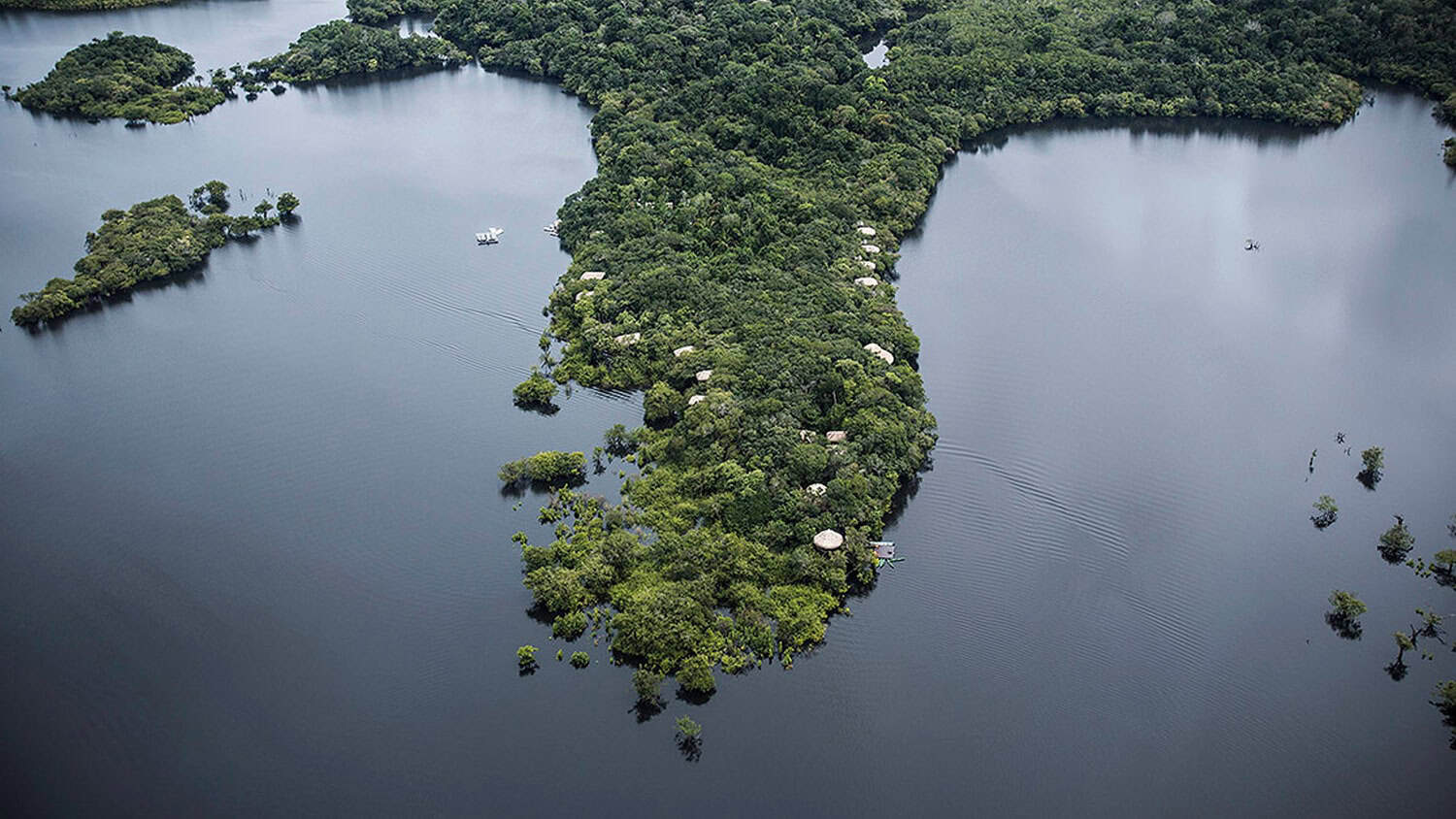 Juma Amazon Lodge, Amazon Rainforest, Manaus, Brazil