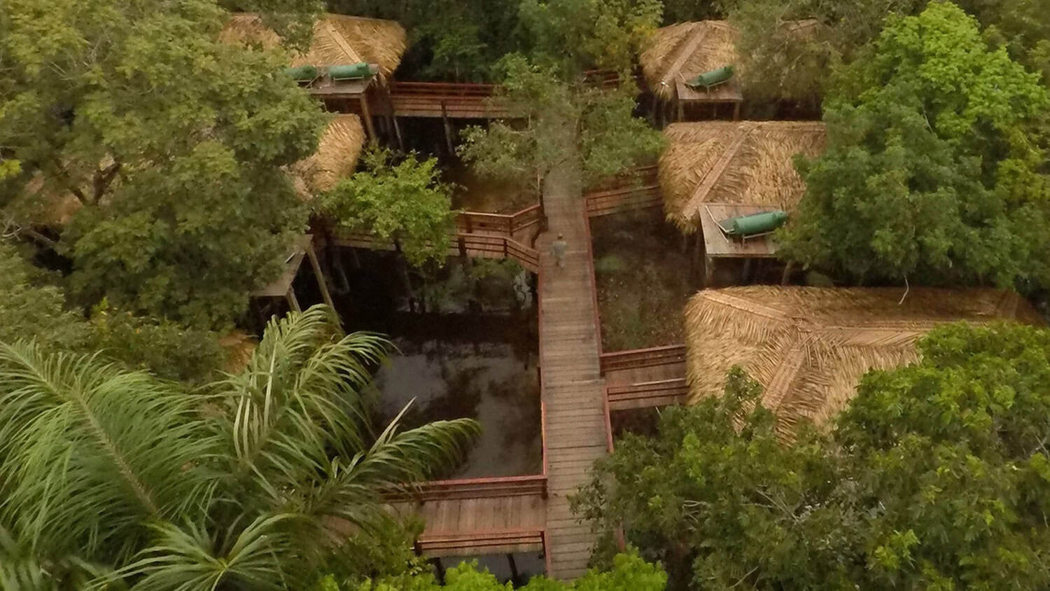 Juma Amazon Lodge, Amazon Rainforest, Manaus, Brazil