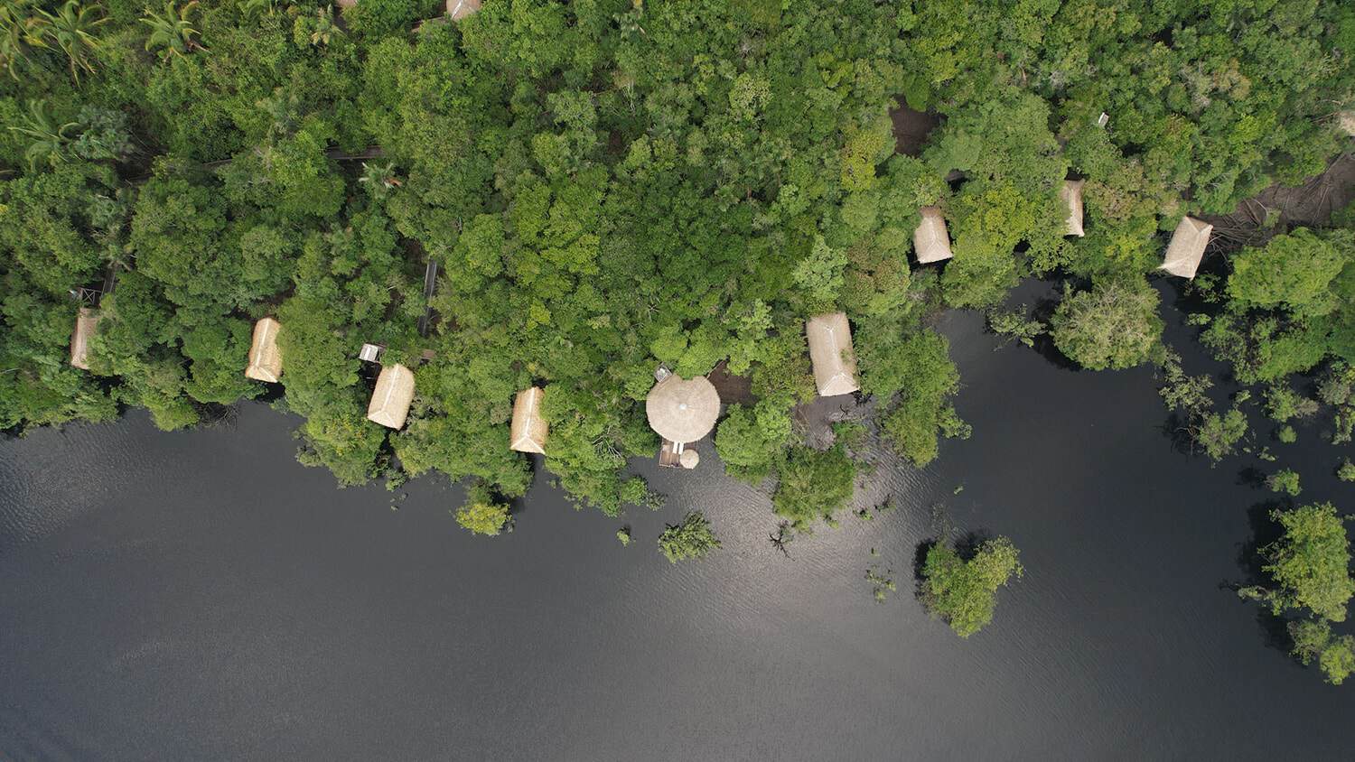 Juma Amazon Lodge, Amazon Rainforest, Manaus, Brazil