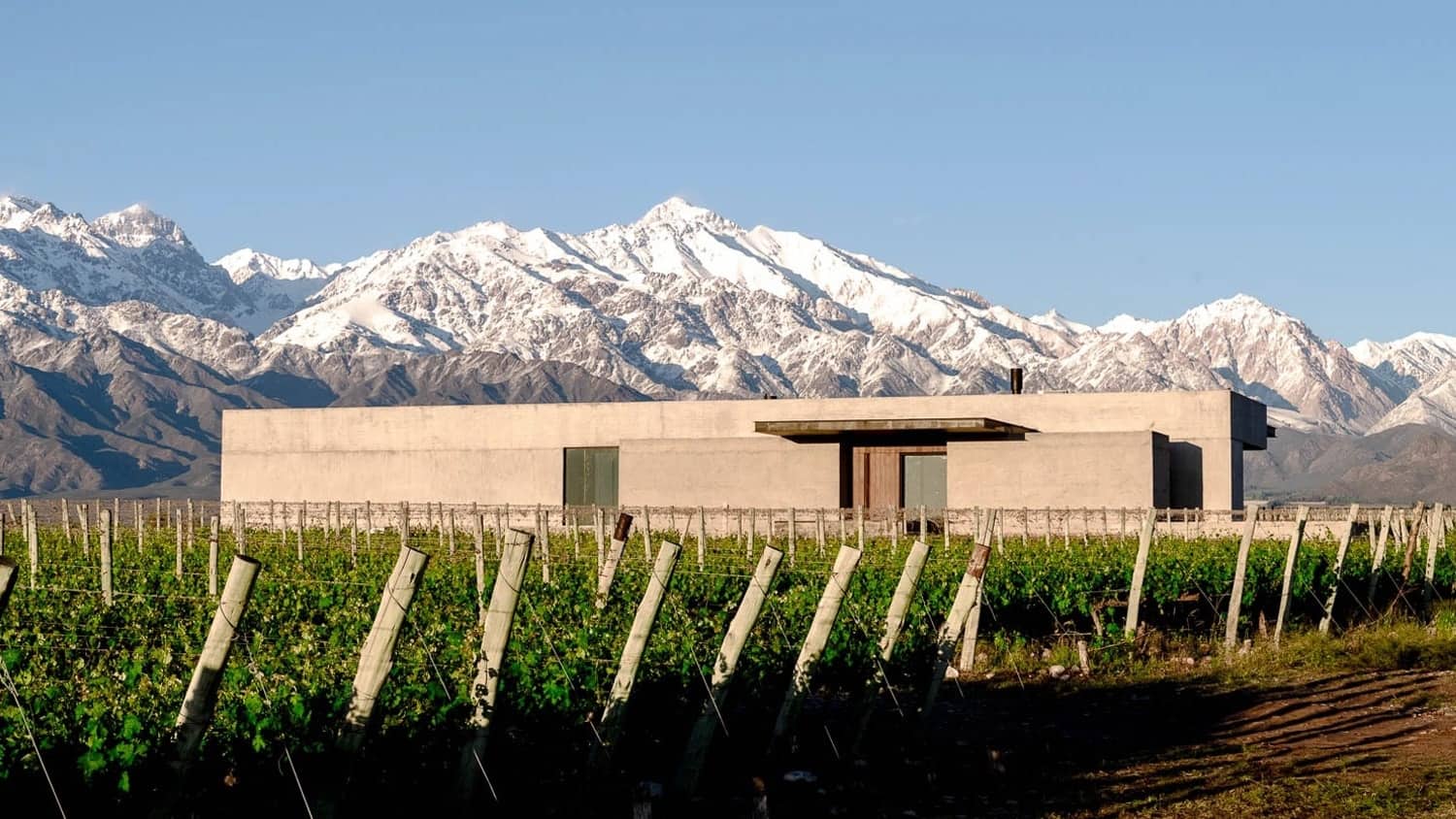 The Vines Resort & Spa, Tunuyán, Argentina