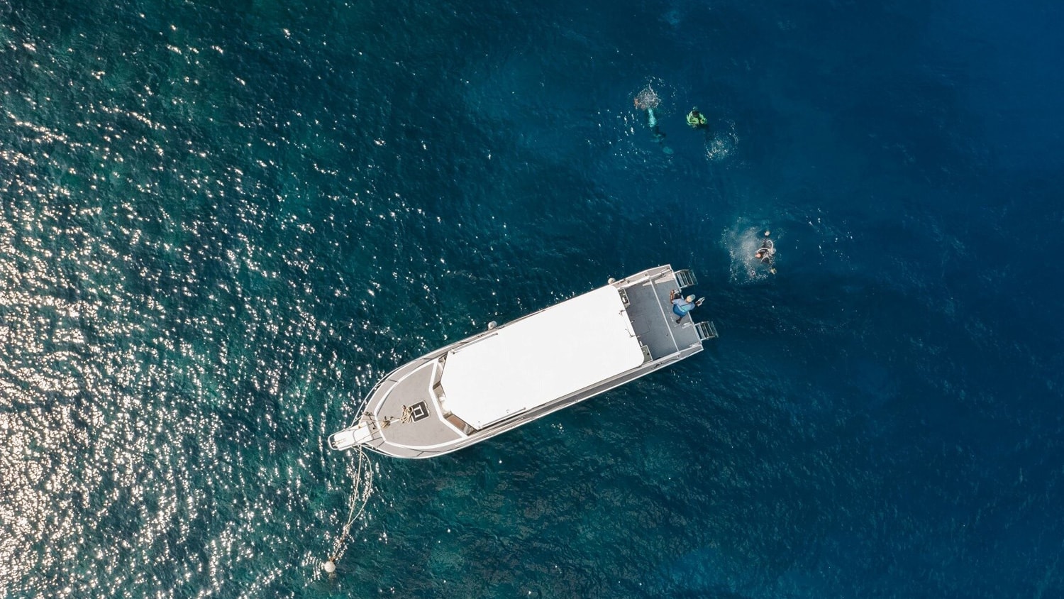 Diving oat, Roatan, Honduras