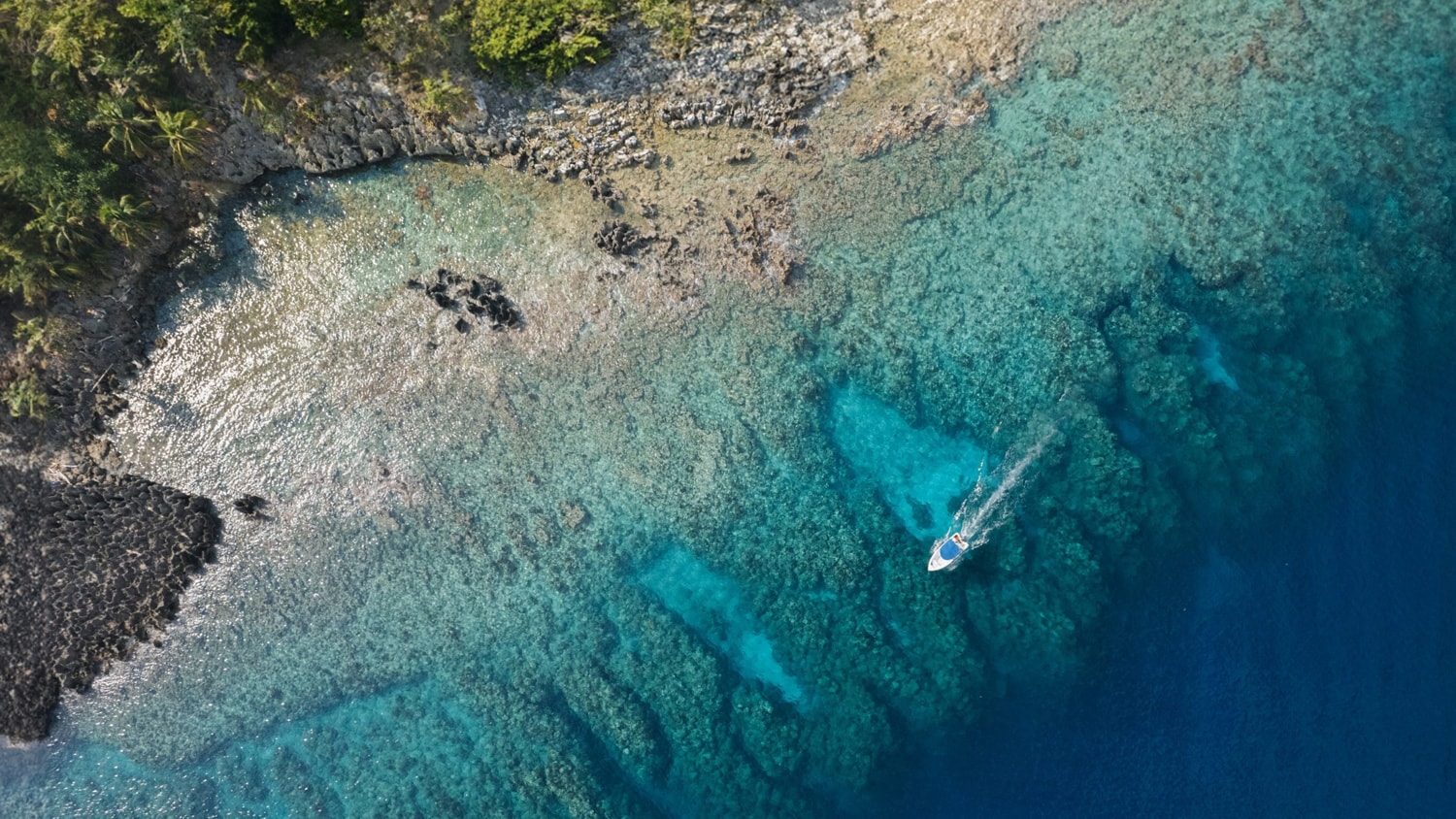 Caribbean coast, Roatan, Honduras