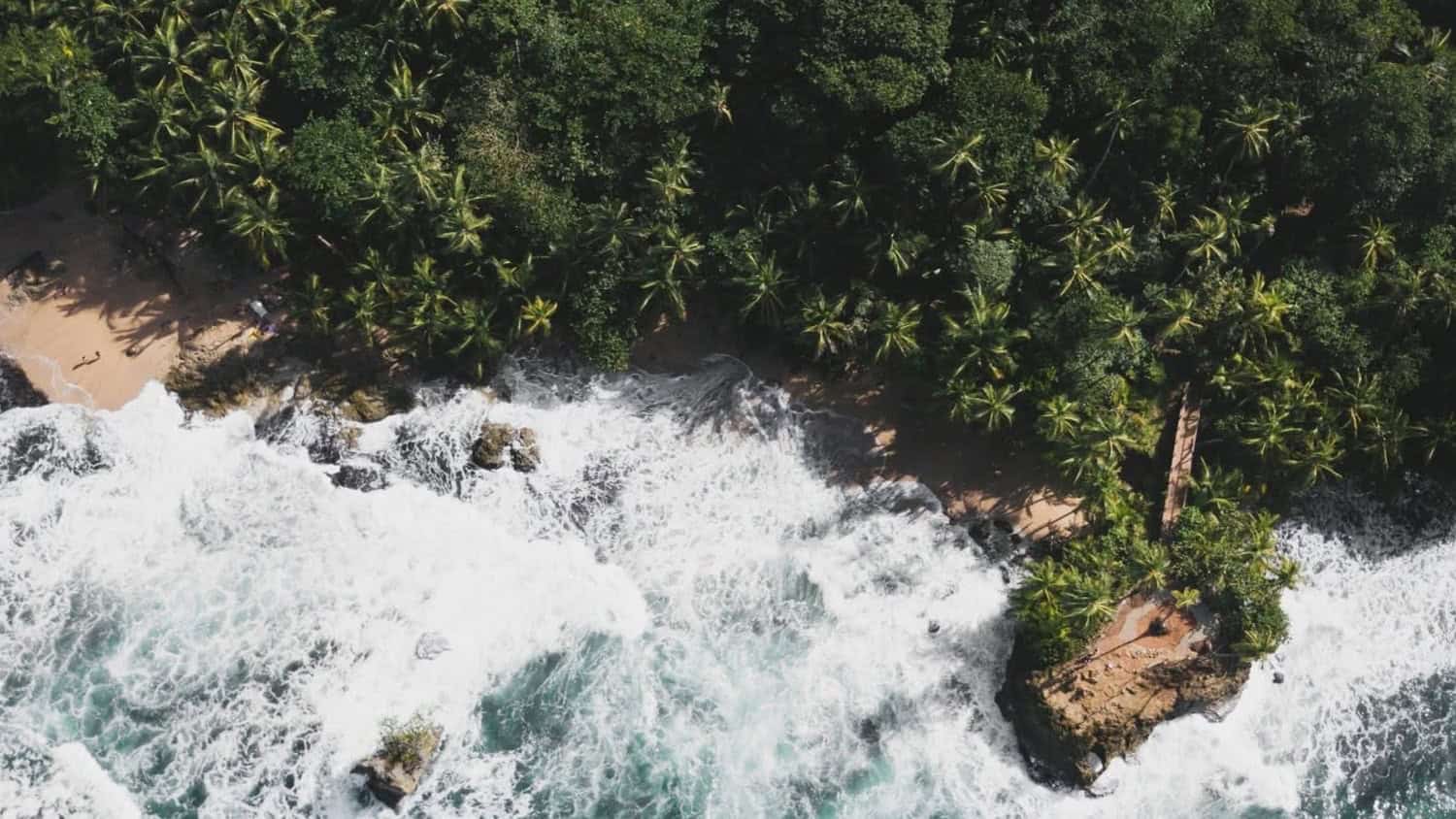 Caribbean Coast, Puerto Viejo, Costa Rica