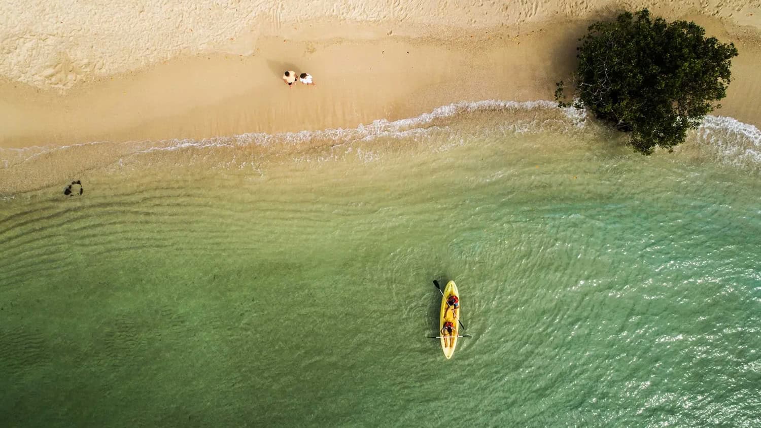Beach, Puerto Ayora, Isla Santa Cruz, Galapagos, Ecuador
