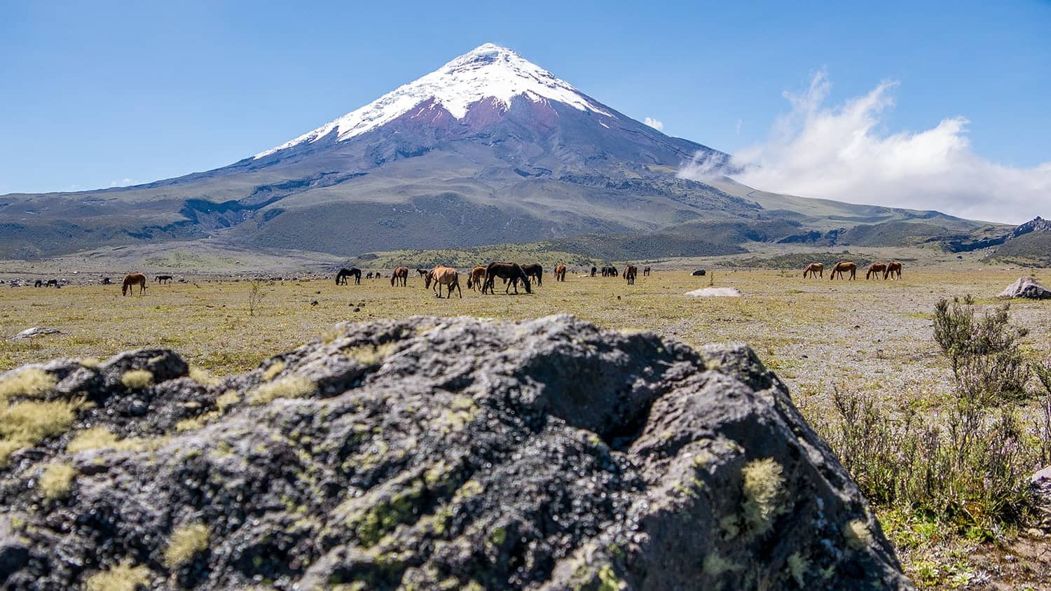Volcano Cotopaxi, Quito, Ecuador