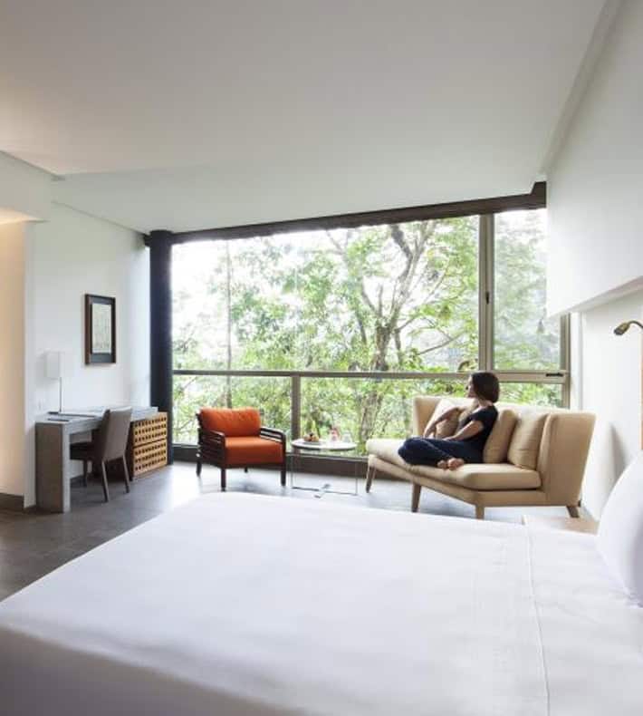 Yaku King Suite, Mashpi Lodge, Pacto, Ecuador