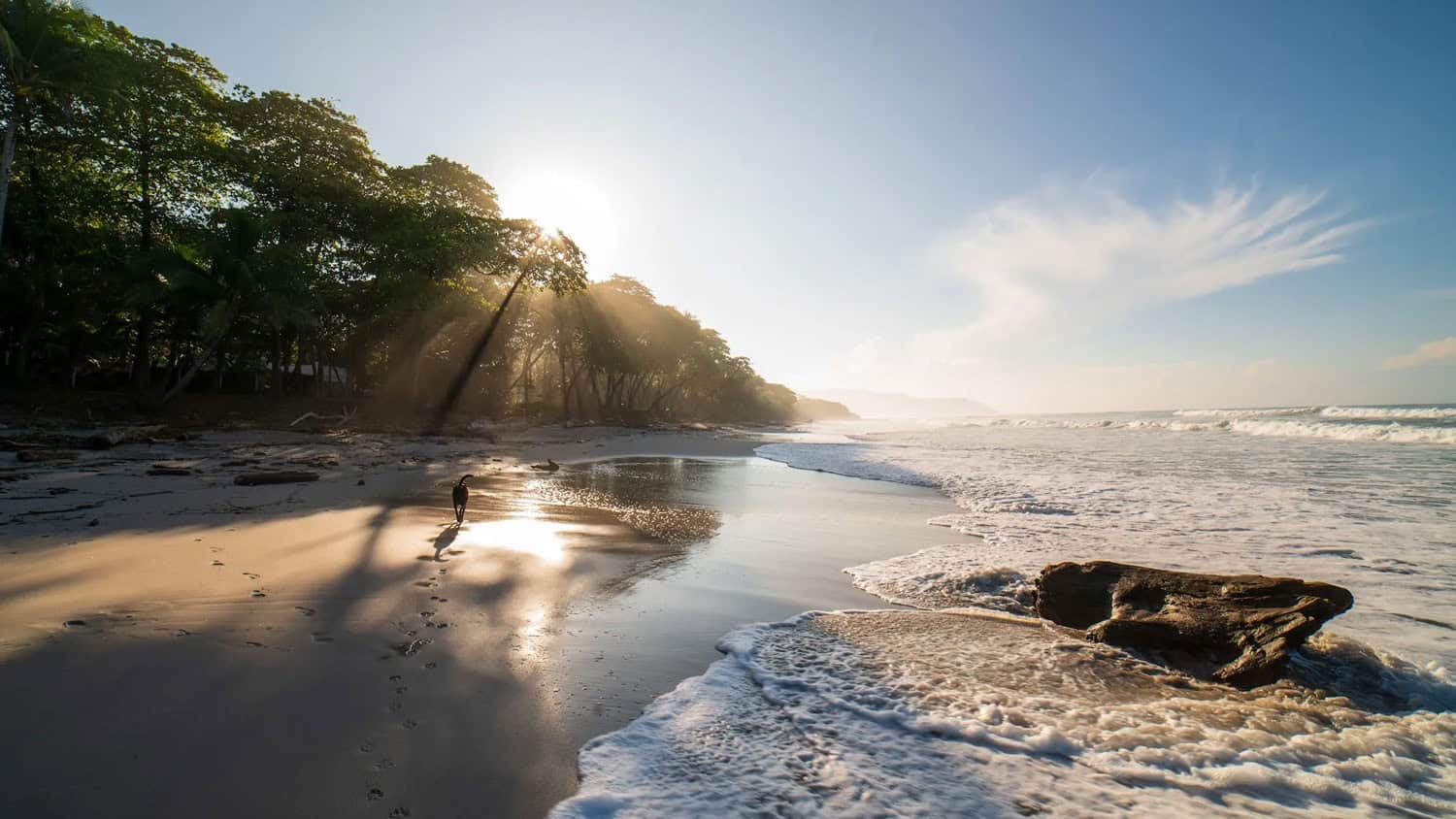 Beach, Puerto Viejo, Costa Rica