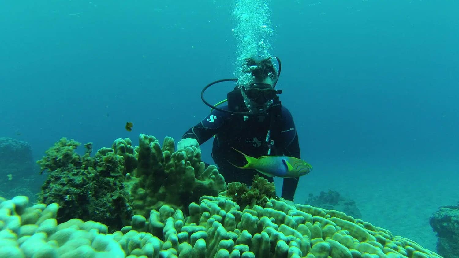 Dive, Hanga Roa (Easter Island), Chile