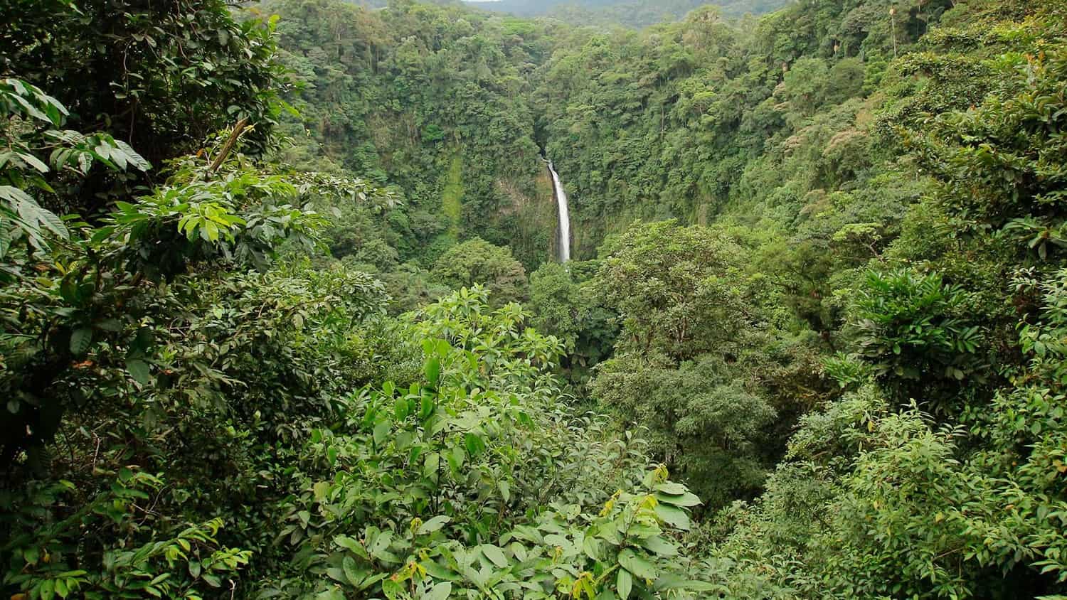 Waterfall, Fortuna, Costa Rica