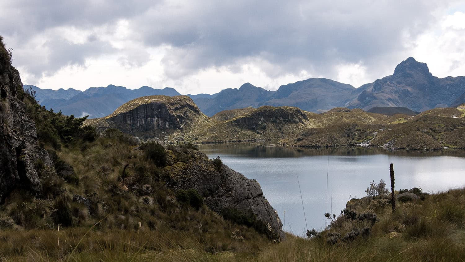 National Park Cajas, Équateur
