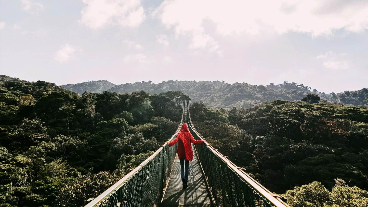 Jungle bridge, Monteverde, Costa Rica