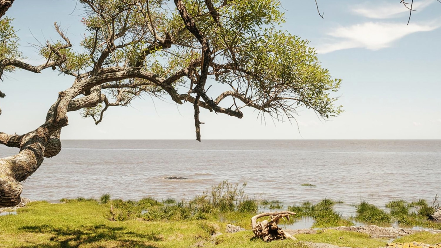 Coast, Colonia del Sacramento, Uruguay