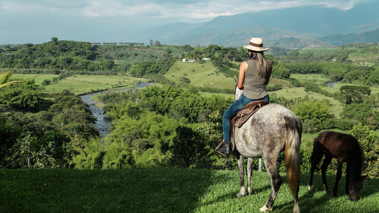 Eje Cafetero, Colombia