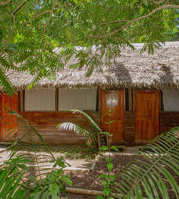 Standard Bungalow, Hacienda Herrera Tambopata, Puerto Maldonado, Peru