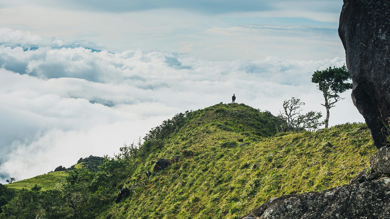 Mountains, Boquete, Panama