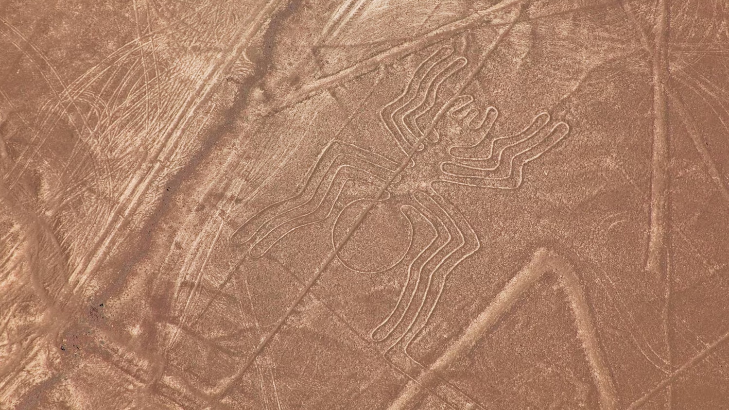 Nazca lines, Paracas, Peru