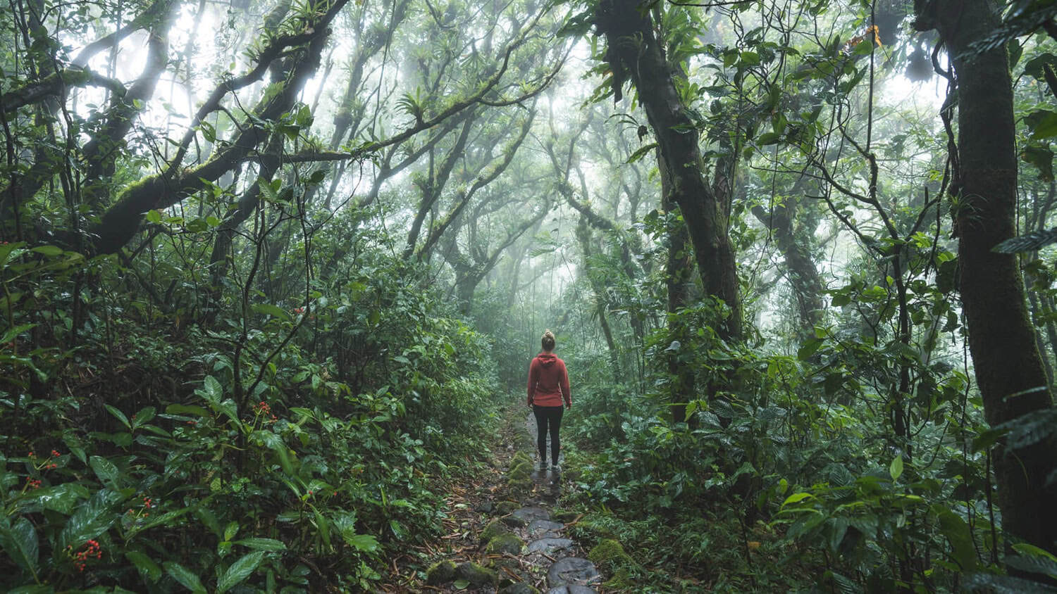 Hike in jungle, Isletas de Granada, Nicaragua