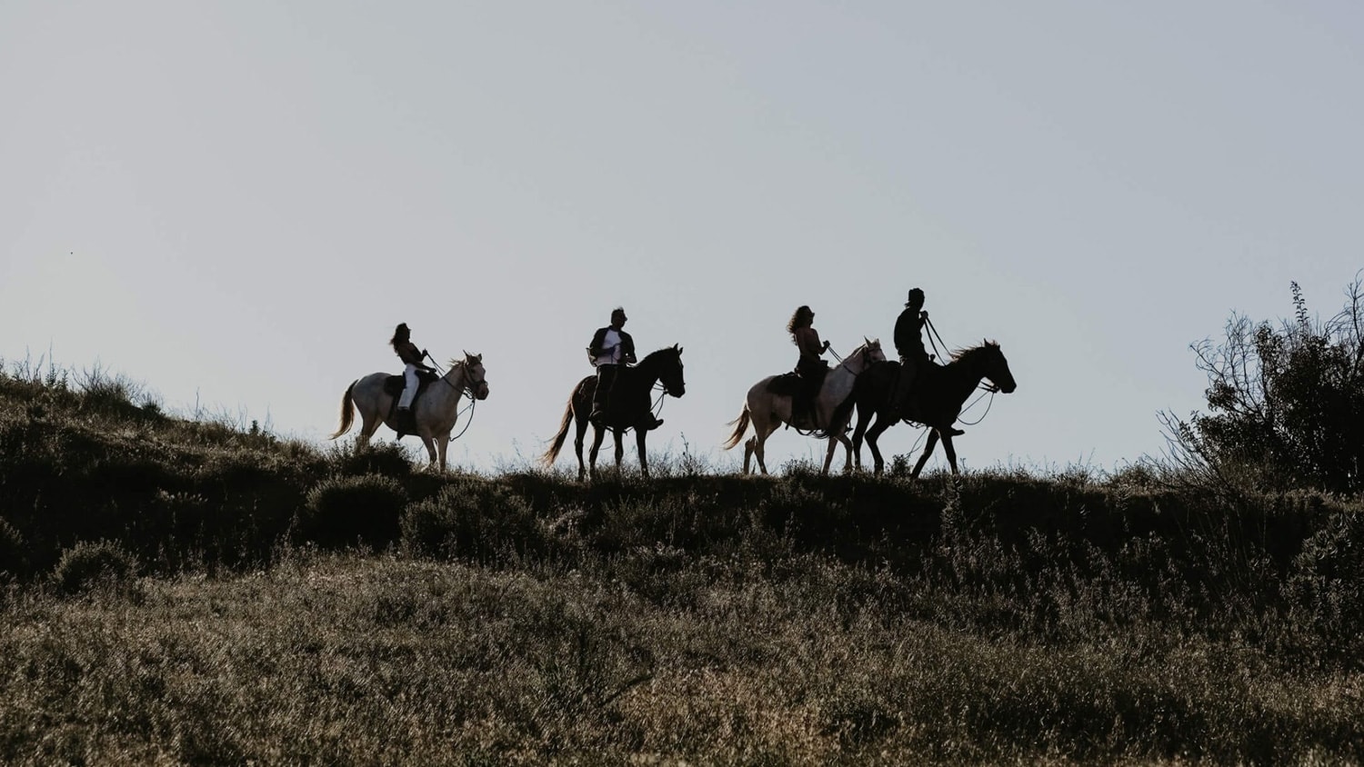 Horse riding, Valle de Guadalupe, Mexico