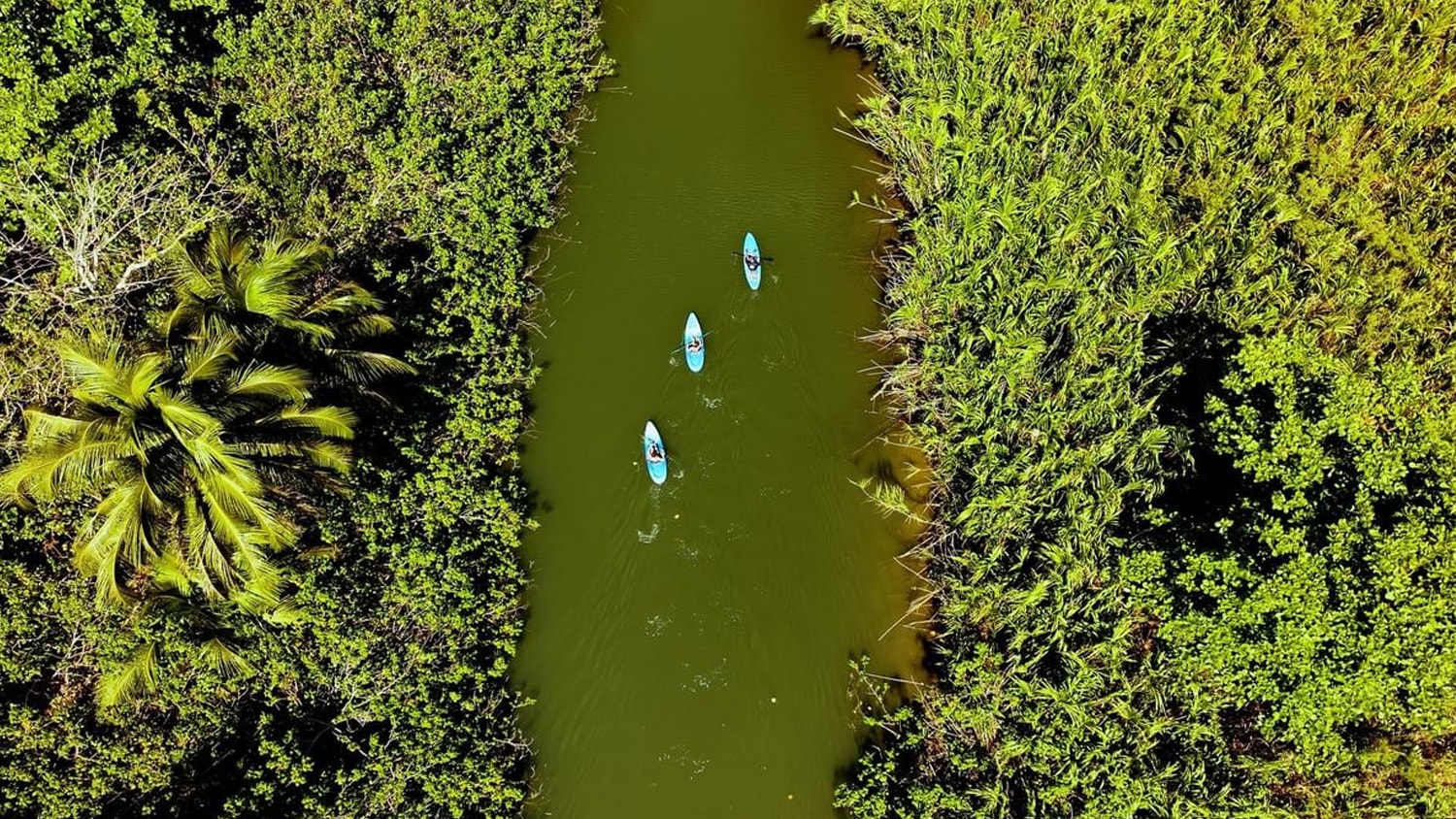 Kayak, Royal Isabela, Isabela, Puerto Rico