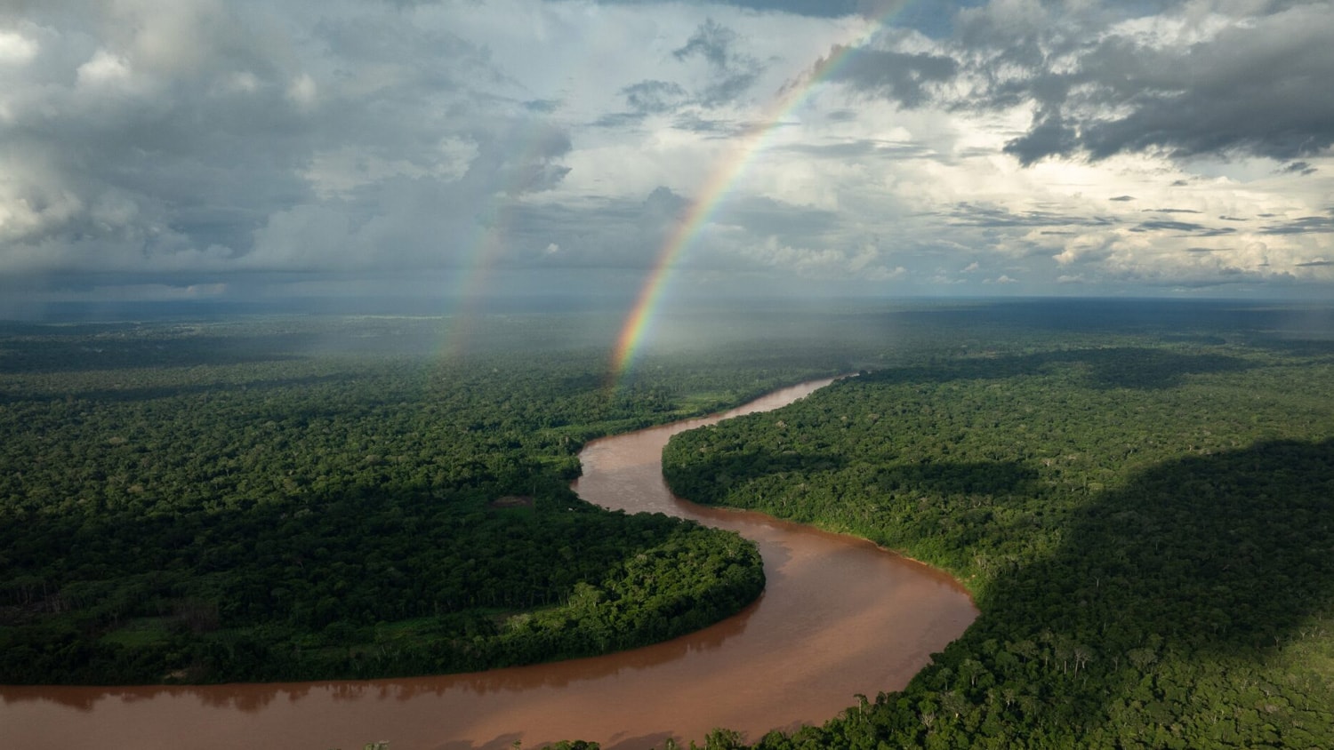 Amazon Rainforest, Tambopata, Peru