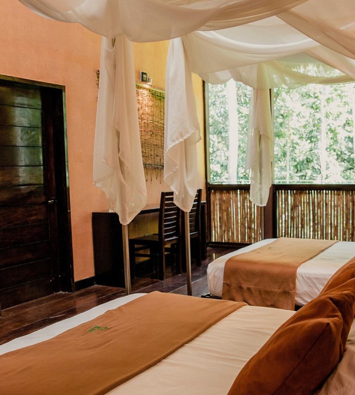 Comfort Room, Tambopata Research Center, Tambopata, Peru