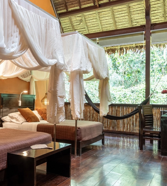 Premium Room, Tambopata Research Center, Tambopata, Peru