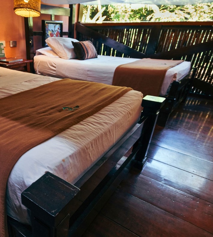 Standard Room, Tambopata Research Center, Tambopata, Peru
