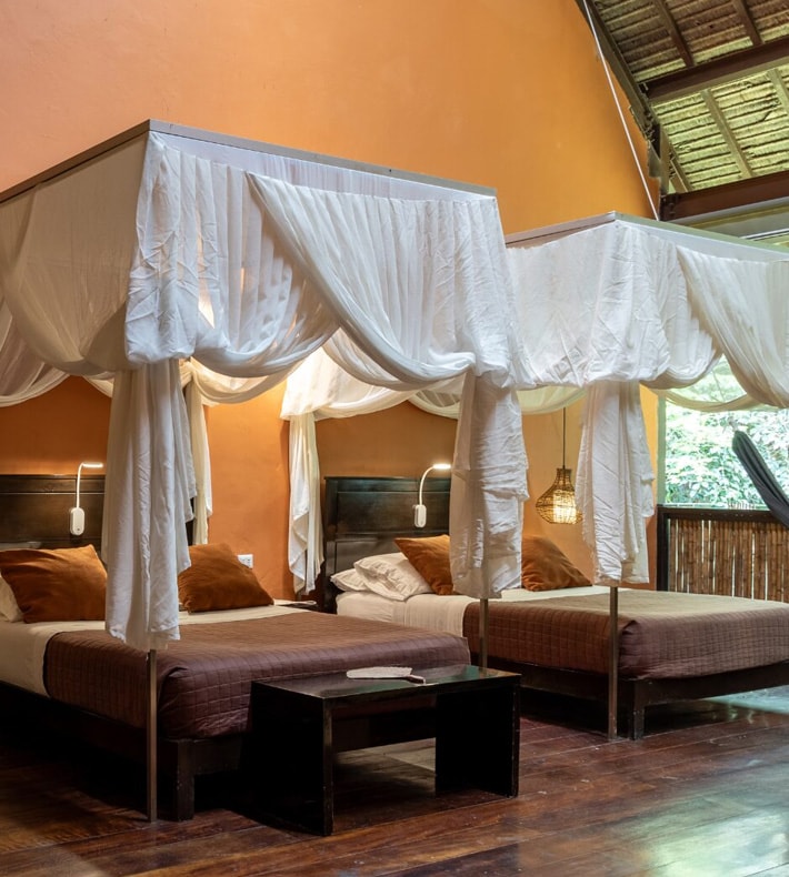 Suite, Tambopata Research Center, Tambopata, Peru