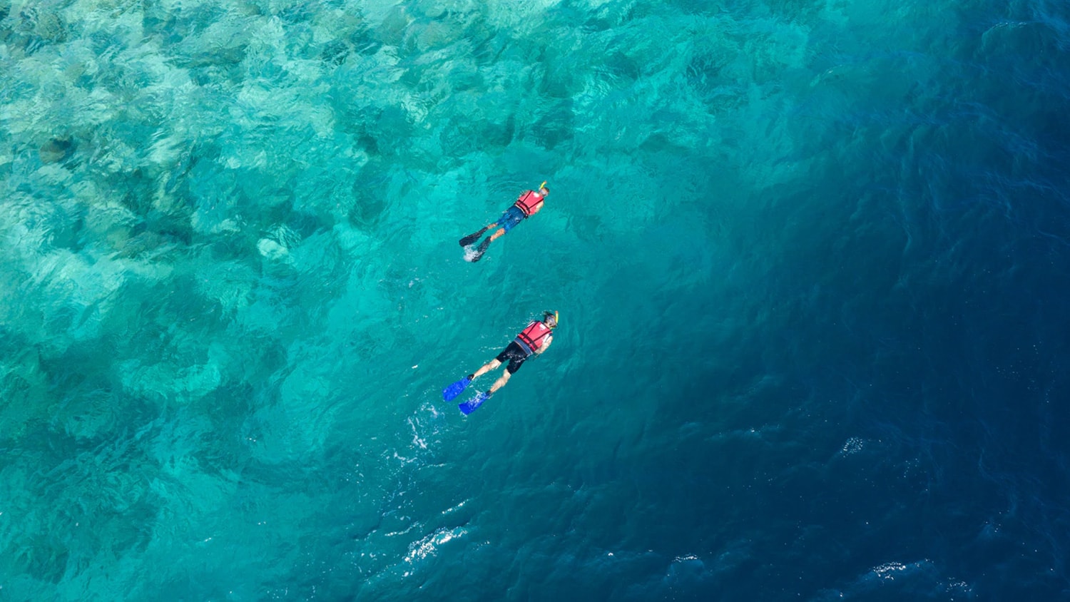 Snorkeling, Sosua, Dominican Republic