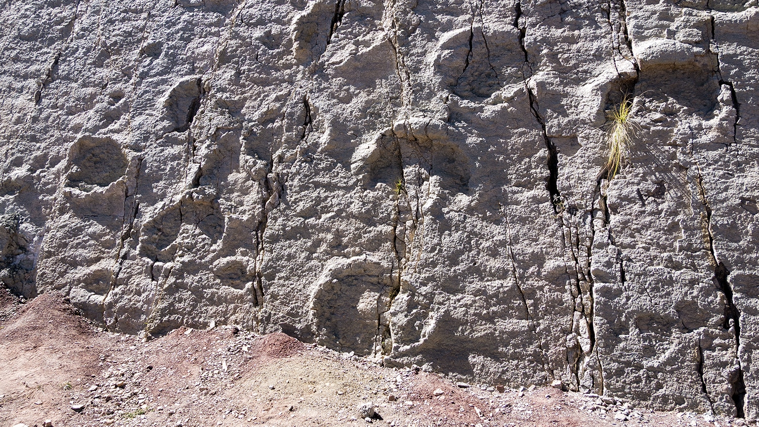 dinosaur footprint, Sucre, Bolivia