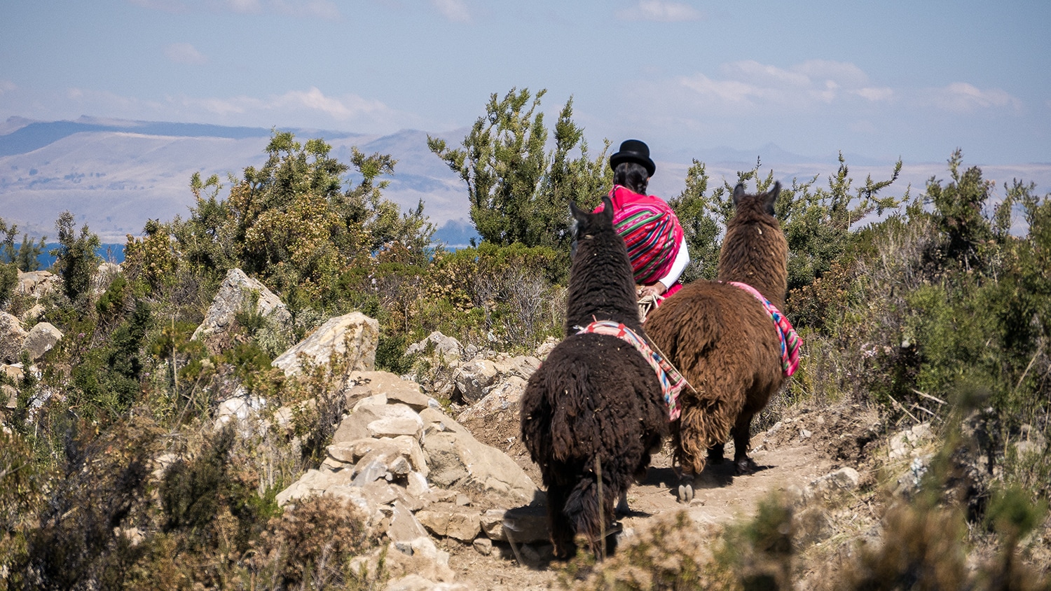 woman with llamas, Bolivia