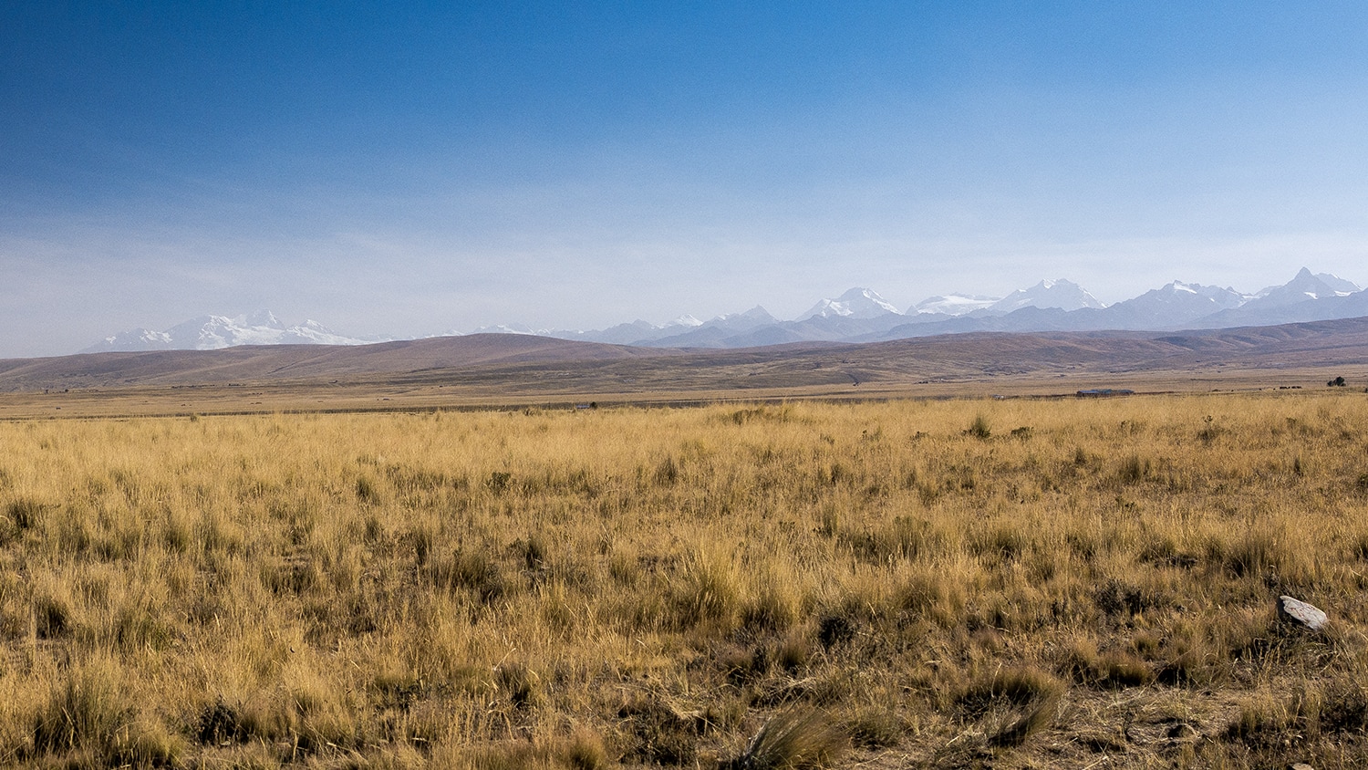 Altiplano, Bolivia