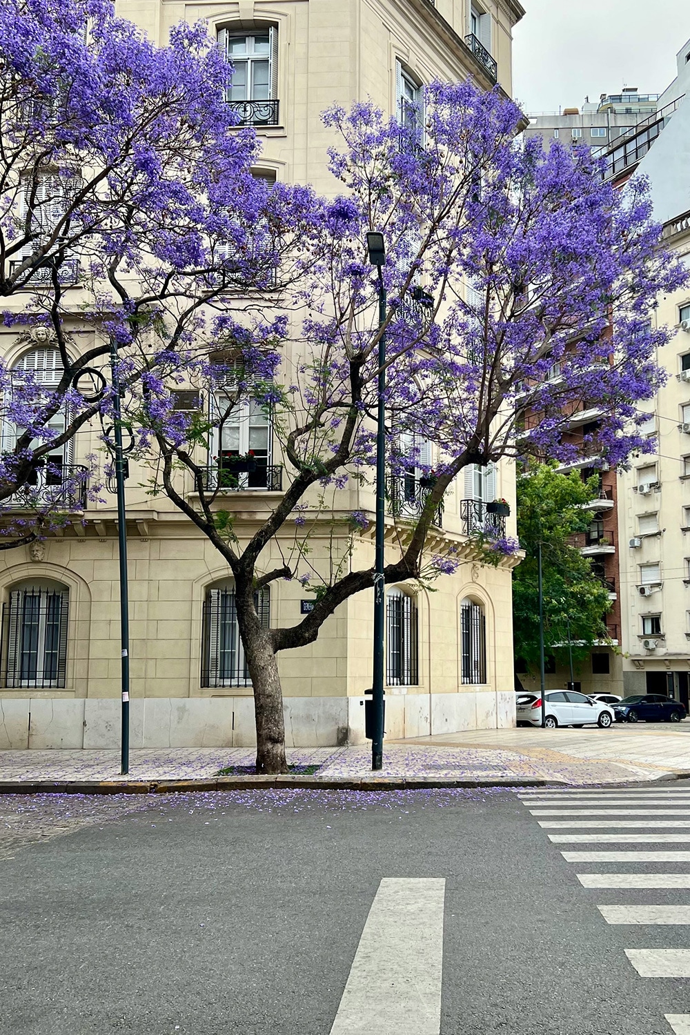 Buenos Aires, Argentina