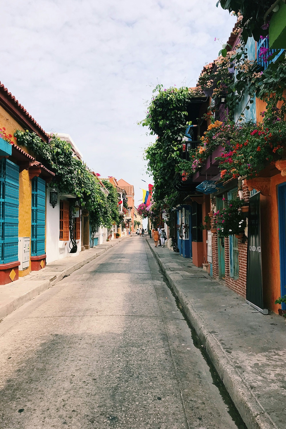 Getsenami, Cartagena, Colombia