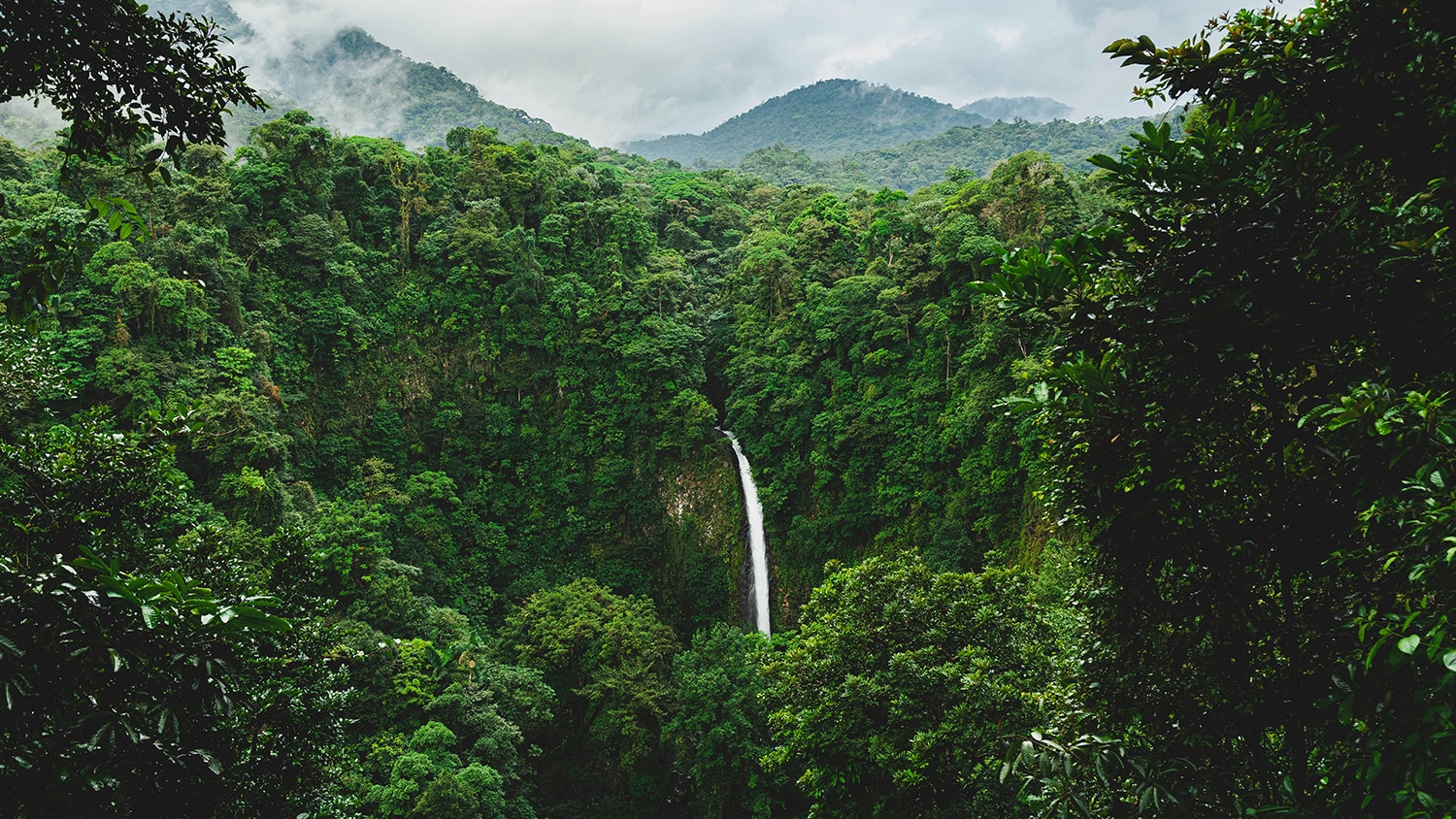 La Fortuna Waterfall, Alajuela, La Fortuna, Costa Rica