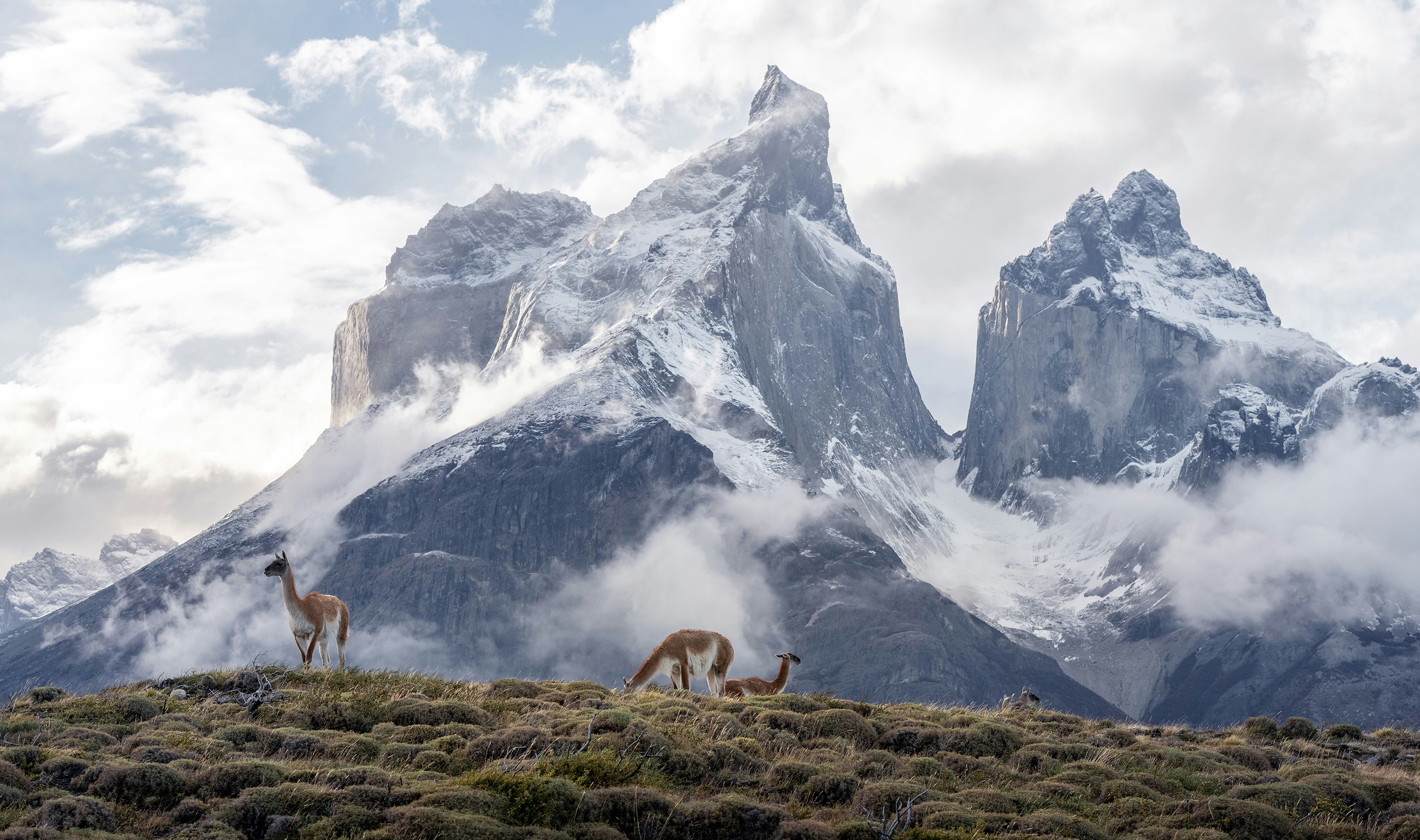 Torres del Paine, Torres de Paine, Chile