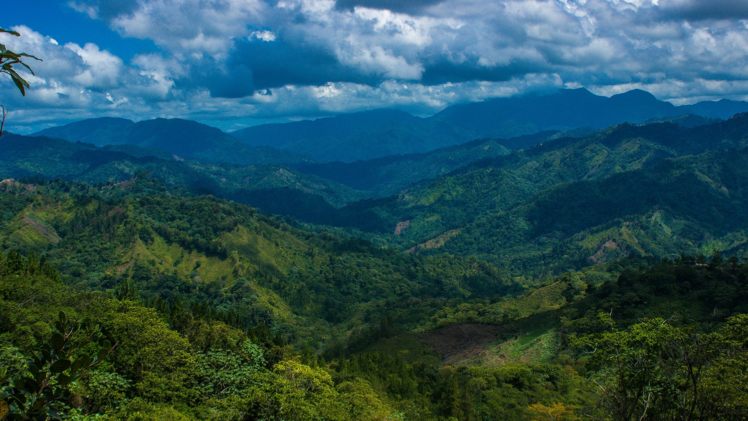 Montaña La Humeadora National Park, San Cristóbal, Dominican Republic