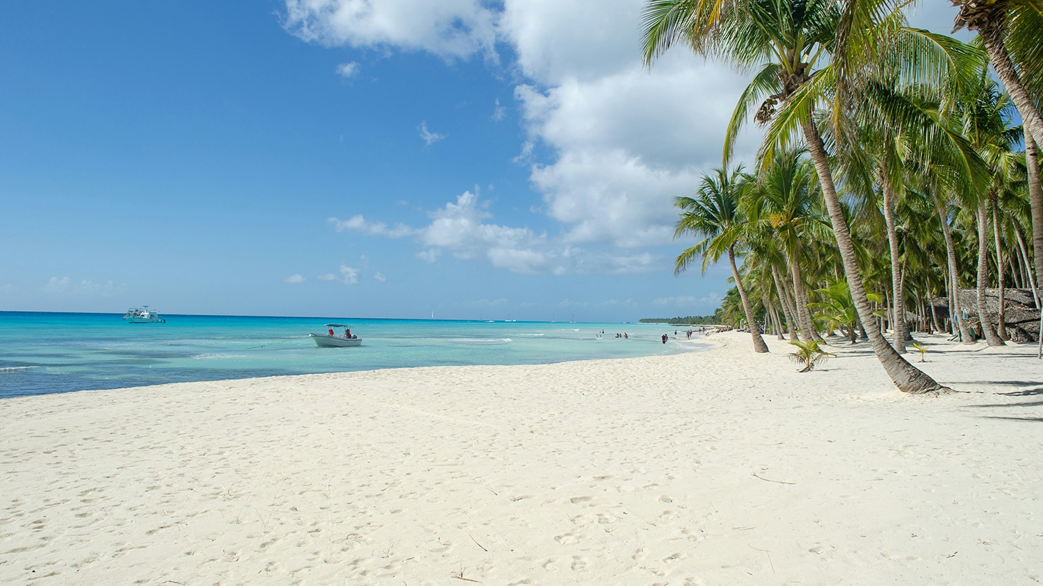 Beach, Dominican Republic