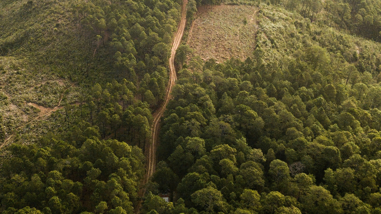 La Esperanza, Honduras