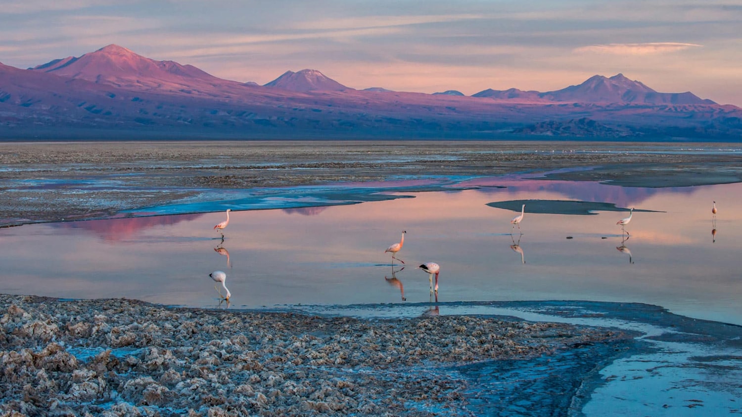 Laguna in Atacama, San Pedro de Atacama, Chile