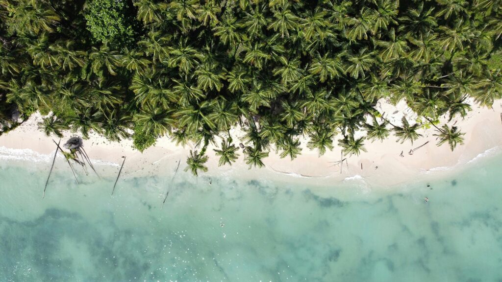 Zapatilla Island, Bastimentos Island, Panama
